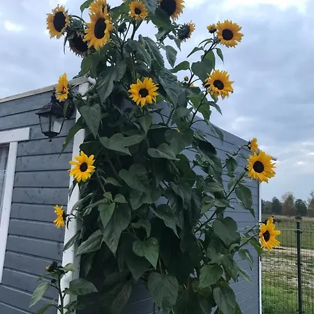 Vakantiehuis Dzika Plaza