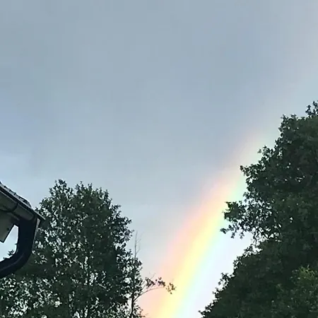 Dzika Plaza Wierzchucino