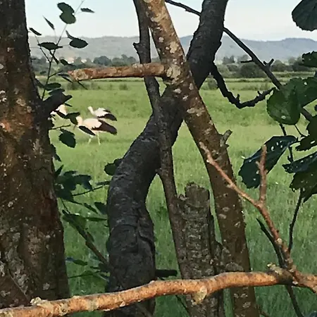 Dzika Plaza * Wierzchucino