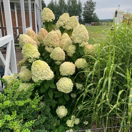 Vakantiehuis Dzika Plaza