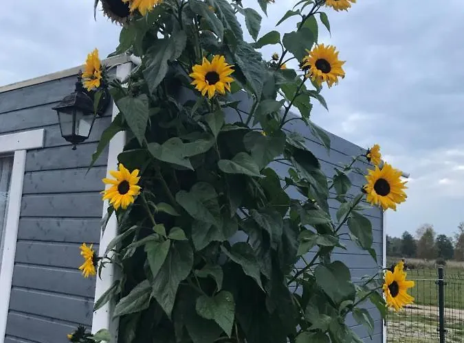 Σπίτι διακοπών Dzika Plaza