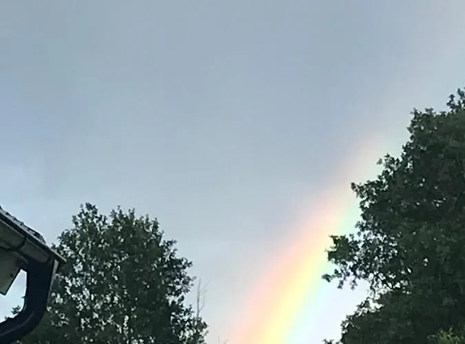 Dzika Plaza Wierzchucino