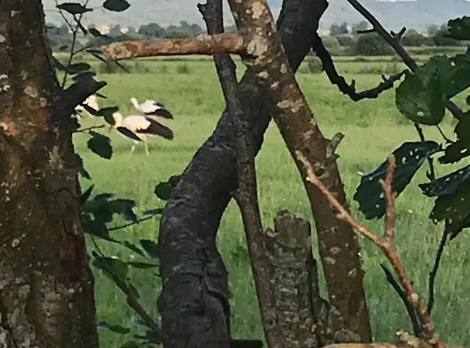 Dzika Plaza * Wierzchucino